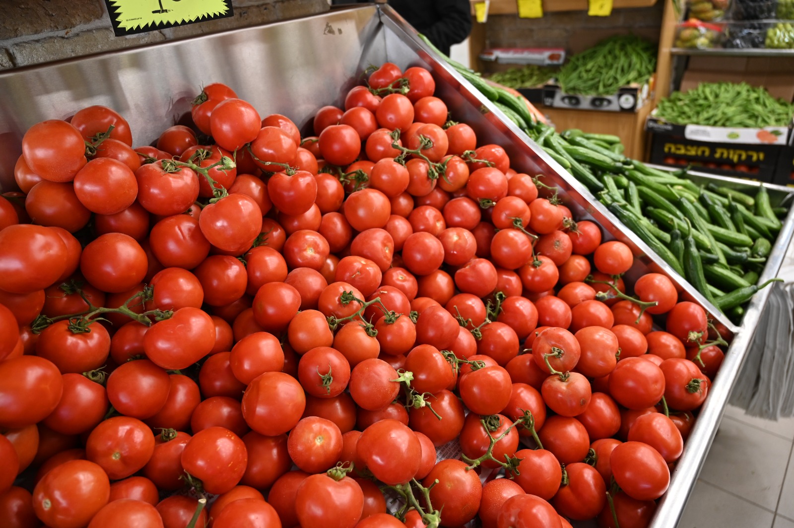 WhatsApp Image 2022-03-29 at 1.25.24 PM.jpg